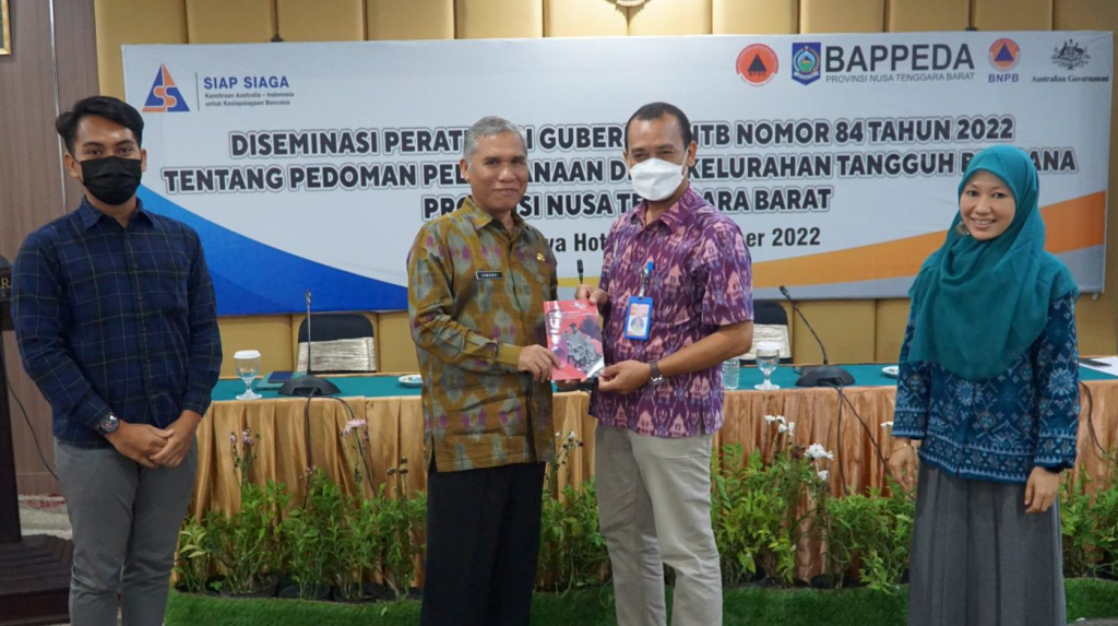 Collaborative Guidelines Development For Sustainable Resilience Siap