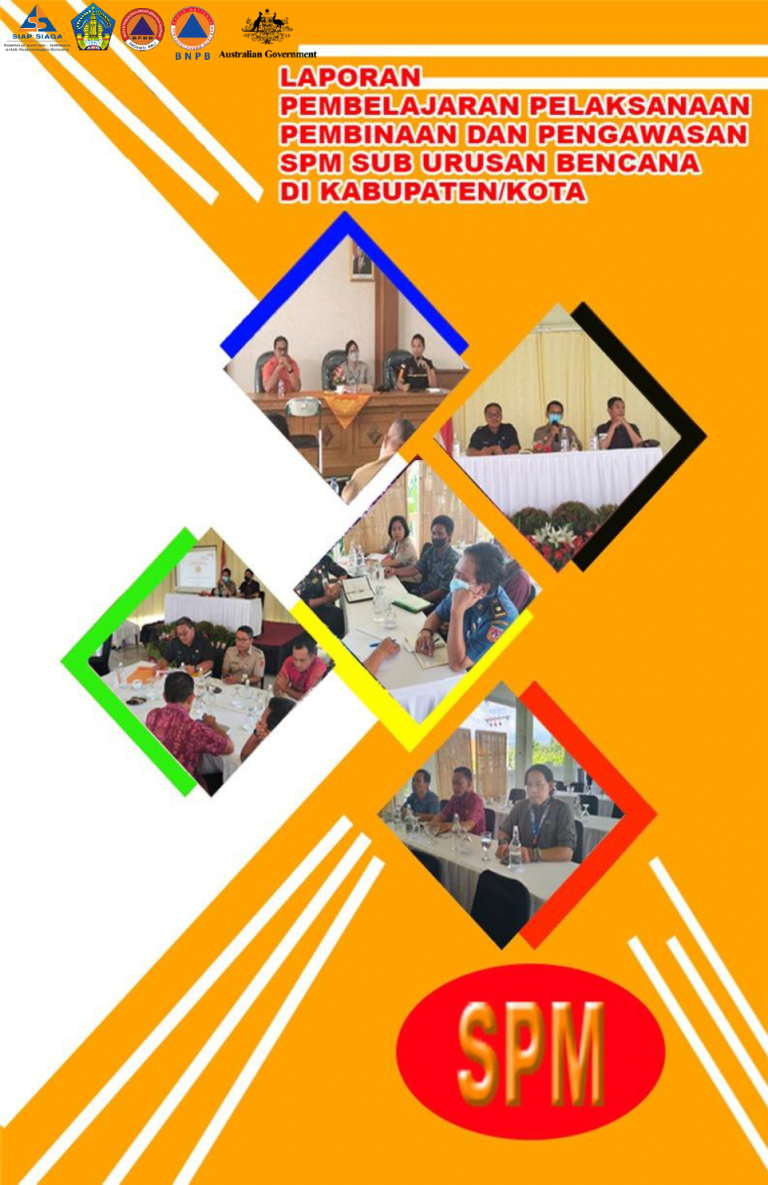 Laporan Pembelajaran Pembinaan Pengawasan SPM Provinsi Bali 2022